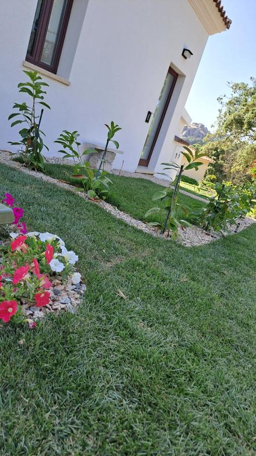 B&B La Chintina Sant Antonio Di Gallura Kültér fotó